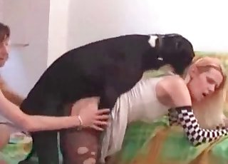 Puppy enjoying privacy with a blonde