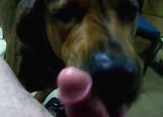 鸡巴