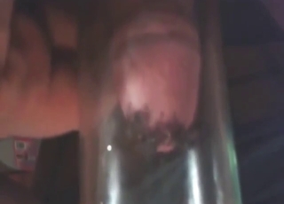 Bestiality porn scene with fly on this man's cock