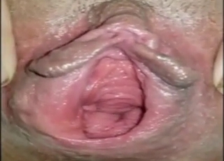 Họ àng