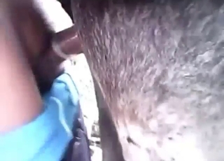 Elite bestiality porn with a donkey drilled deep