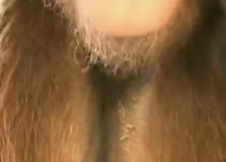 Dudes enjoy fucking mare pussies in a hot vid