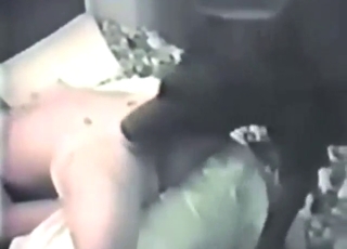 Big pussy of a hot zoophile fucked by a dog