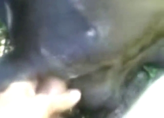 Lustful animal is going to get fingered so so hard