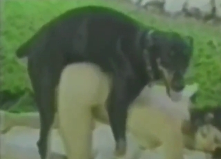 Ruff style vintage video with a black dog fucking