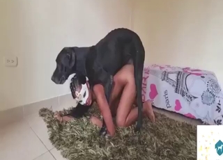 Nice dicks featured in free zoophilic porn videos