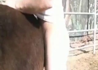 Crazy zoo sex looks even crazier in public