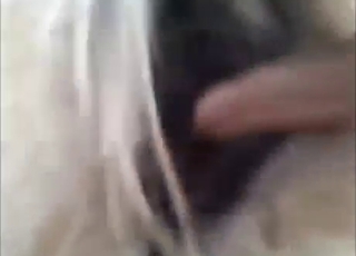 Zoo XXX passion with a dude who fists hard