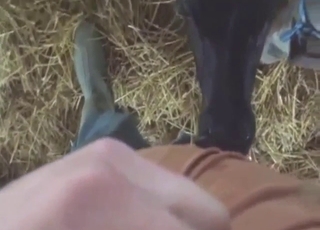 Young bovine in explicit oral fucking session