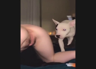 Light-colored pet performs oral acts with a teen
