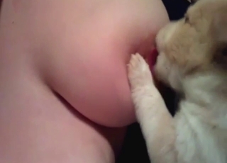 Pet adores lactating slut and sucks those tits