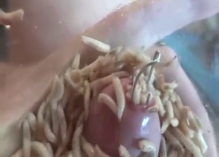 Gross organisms hugging his worm-happy cock