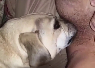 Anal + oral acts in intense scene with a doggo