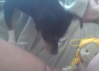 Provocative pet loves these intense oral acts