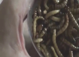 Man with numerous worms on his bare hardness