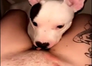 Charming animal wants to taste human moisture