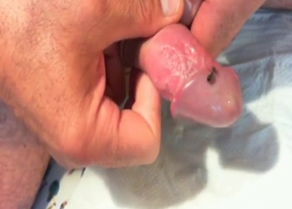 Insects covering his unusual-looking dong