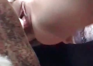 Sex