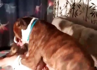 Sexy muscled doggy fucking her snatch