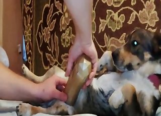 Playing with my trained doggy