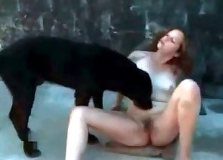 Black dog fucking her on cam