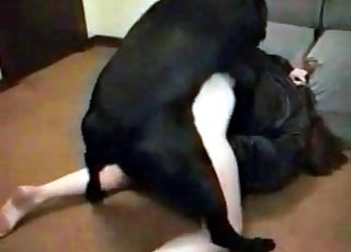 Black dog licks pussy and fucks it