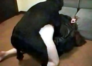 Black dog licks pussy and fucks it