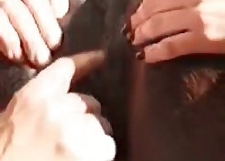 Animal enjoying rimjobs on camera