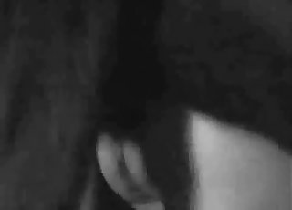 Explosive B&W bestiality video