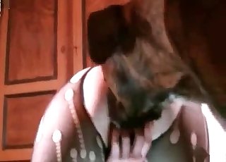 Doggy style pounding on the floor